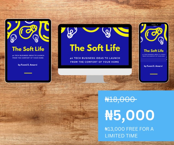 The Soft Life ebook sale